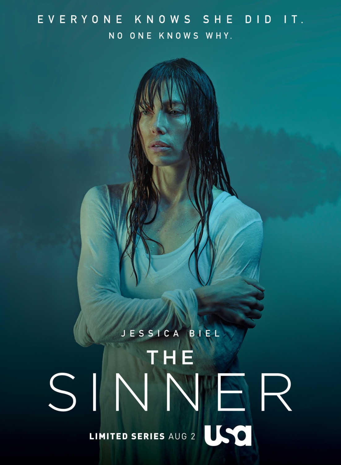 THE SINNER: Season One (2017)